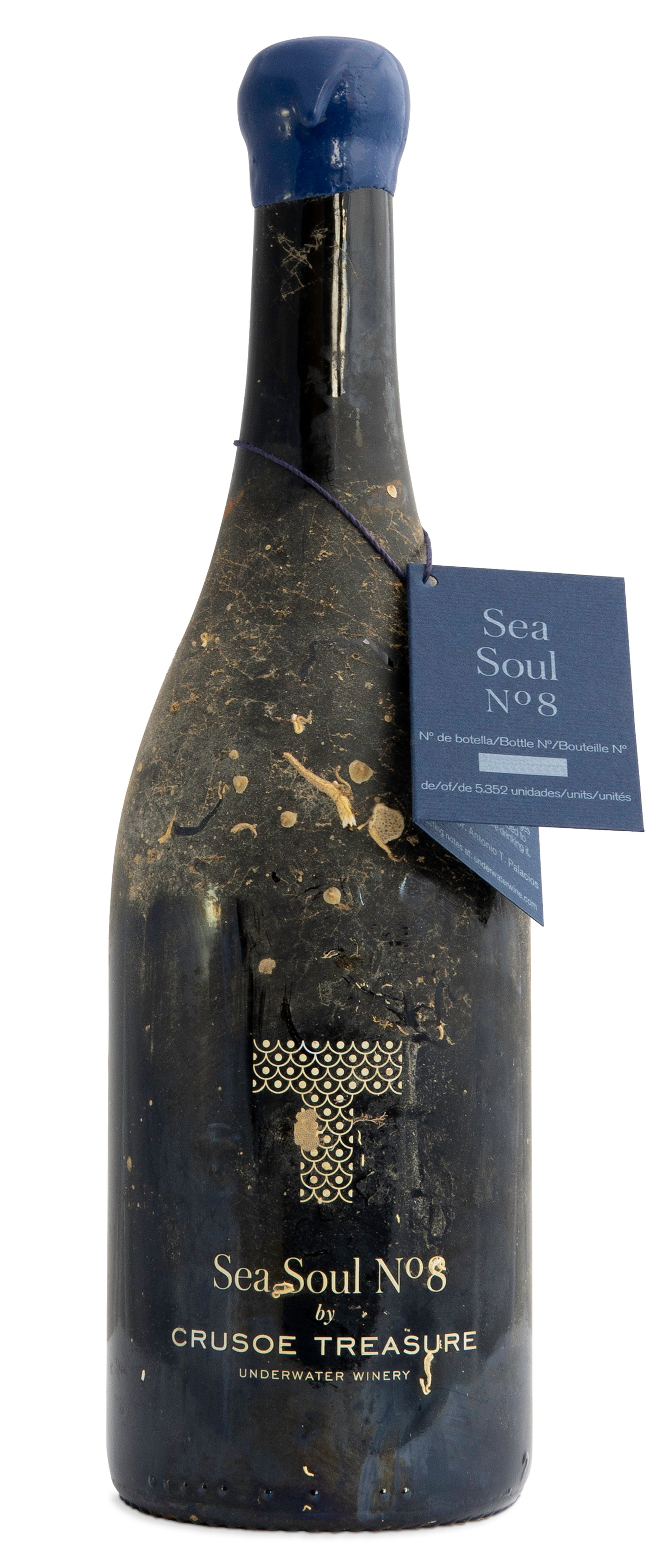バスク海底熟成ワイン Sea Soul No.8 グルナッシュ 100% 赤ワイン
