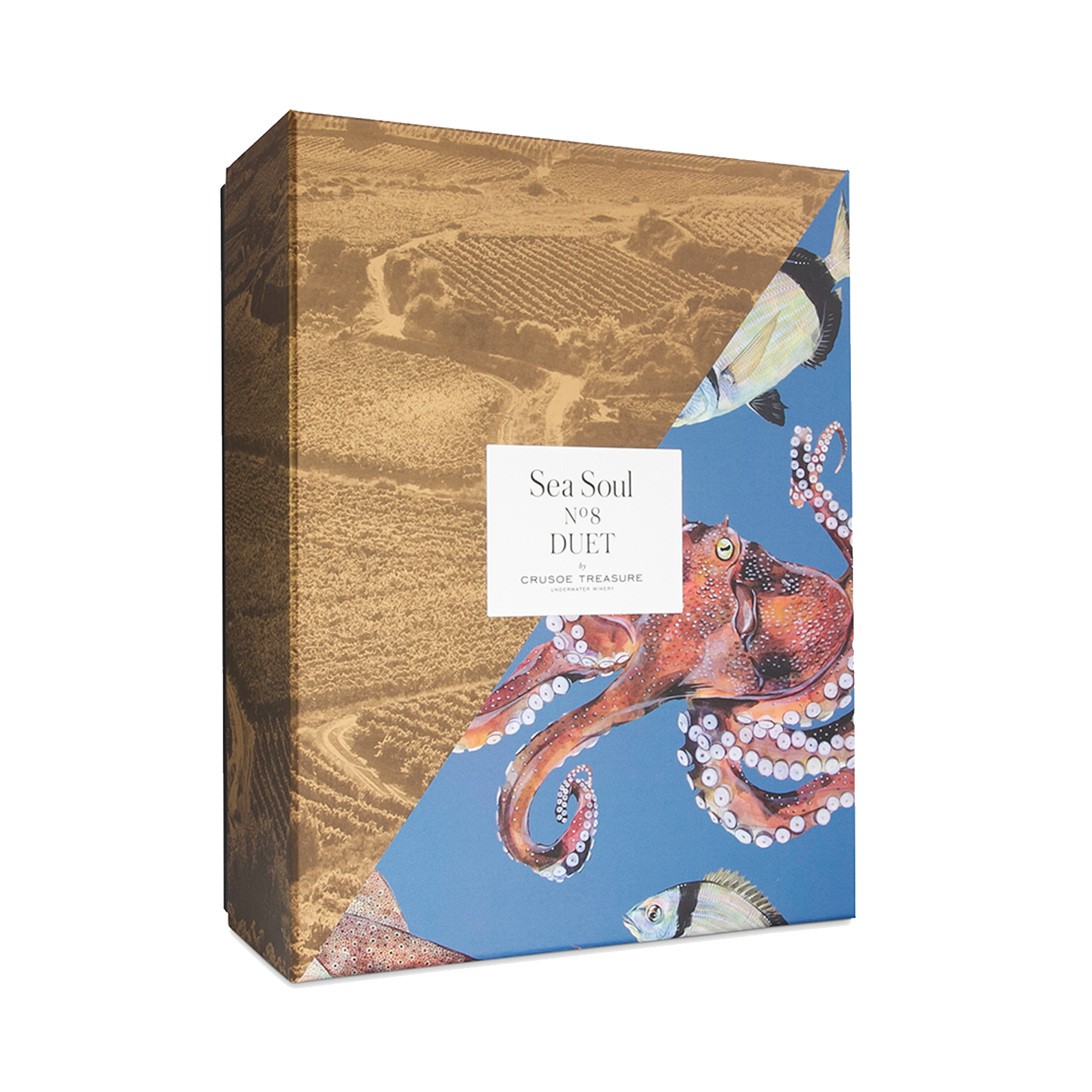 バスク海底熟成ワイン 海底熟成・地上熟成飲み比べセット DUET Sea Soul No.8 グルナッシュ 100% 赤ワイン