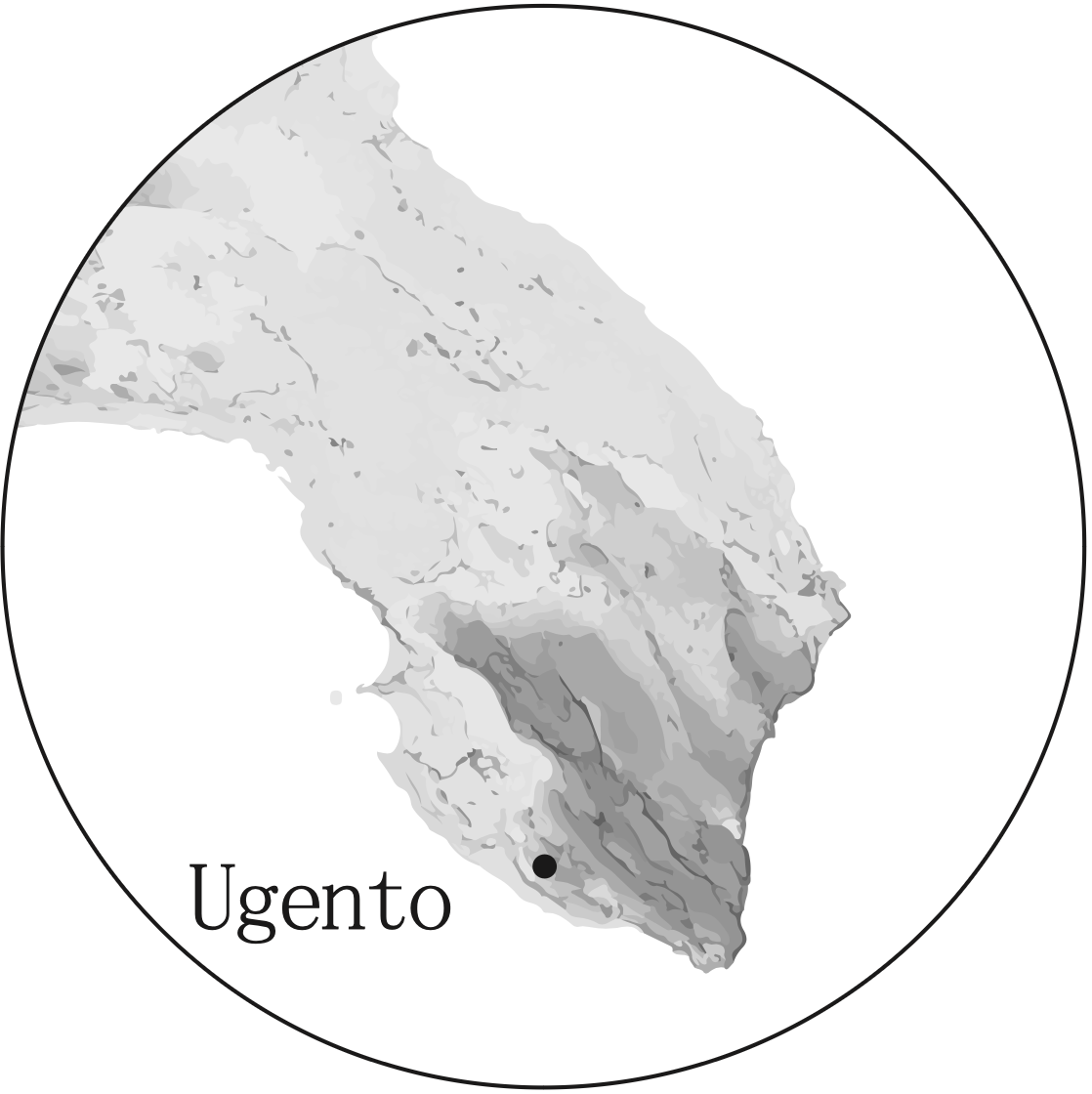 Ancestrale Rosato Pet-Nat(アンチェストラーレ・ロザート・ペットナット) ネグロアマーロ 100% ロゼスパークリングワイン