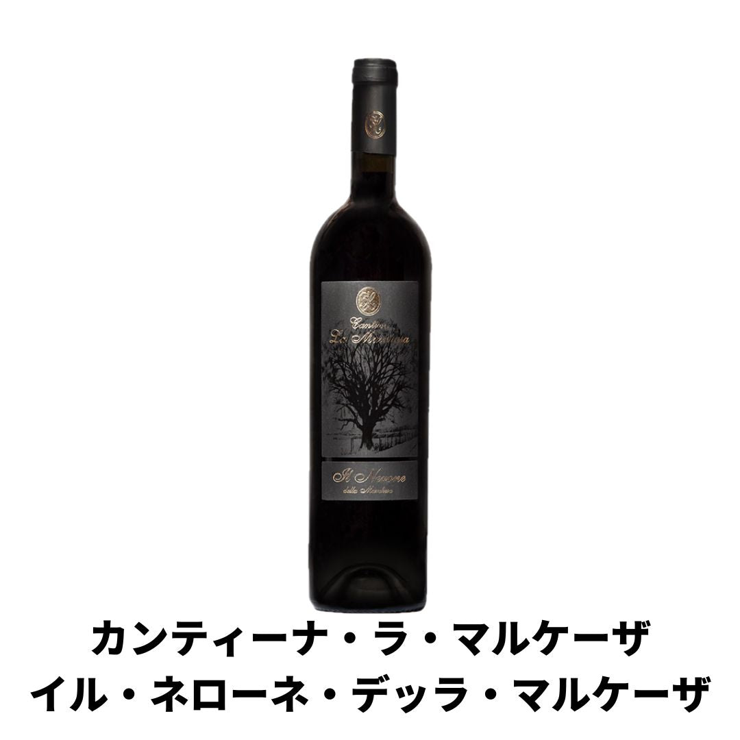 プーリアワイン3大品種飲み比べセット