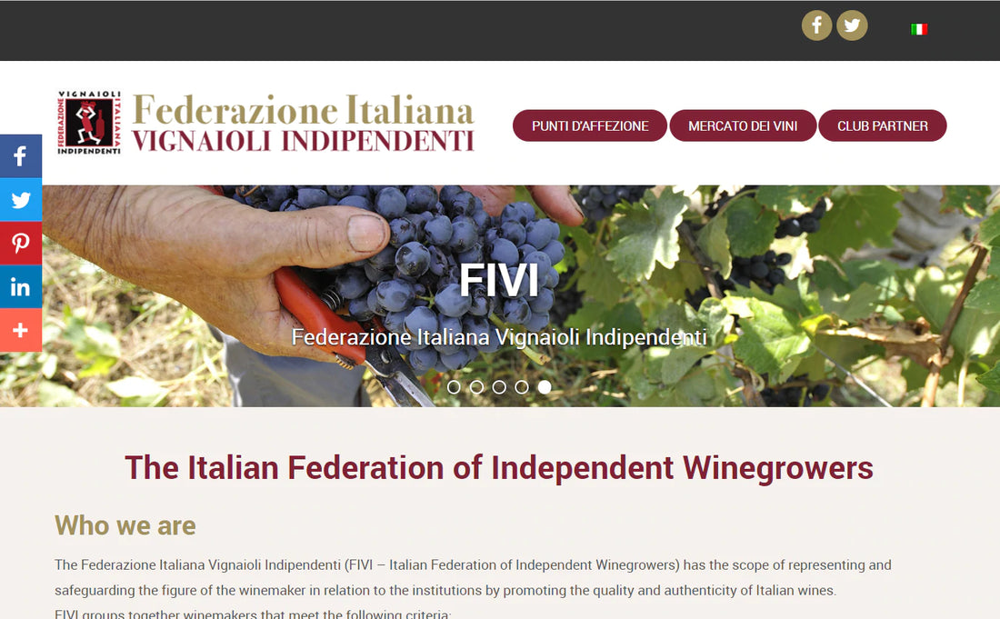 FIVI（Federazione Italiana Vignaioli Indipendenti）について