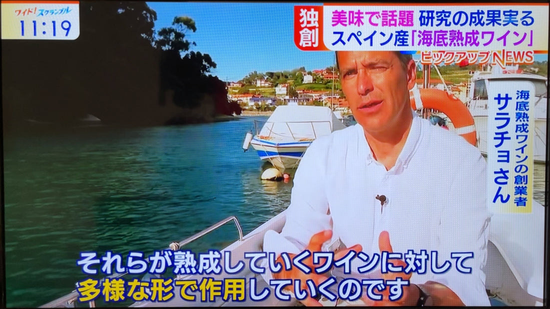 テレビ朝日「ワイド！スクランブル」で"バスク海底熟成ワイン"が紹介されました！