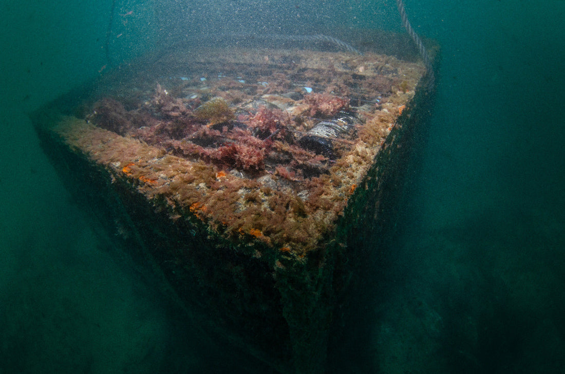 海底熟成ワインとは？普通のワインとの違い