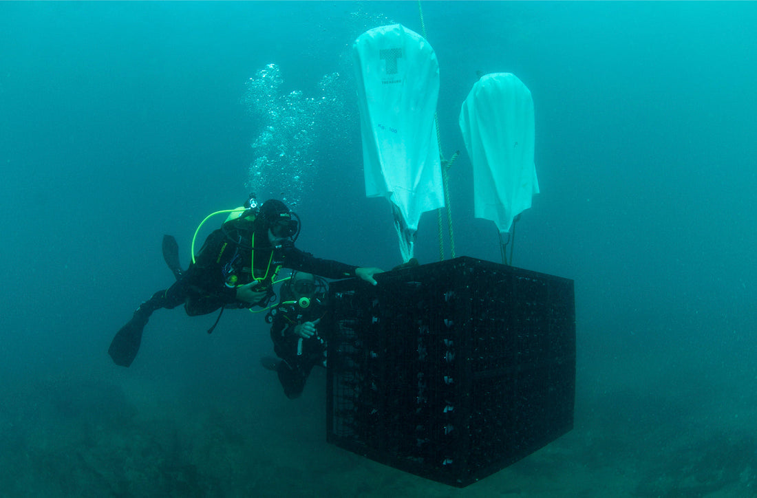 海の底で熟成するワイン？クルーソー・トレジャーの魅力と、海底熟成ワインの正しい選び方