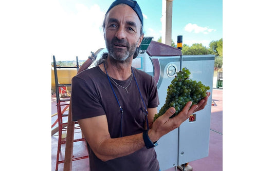 ネーロ・ディ・トロイアの真価を引き出す造り手