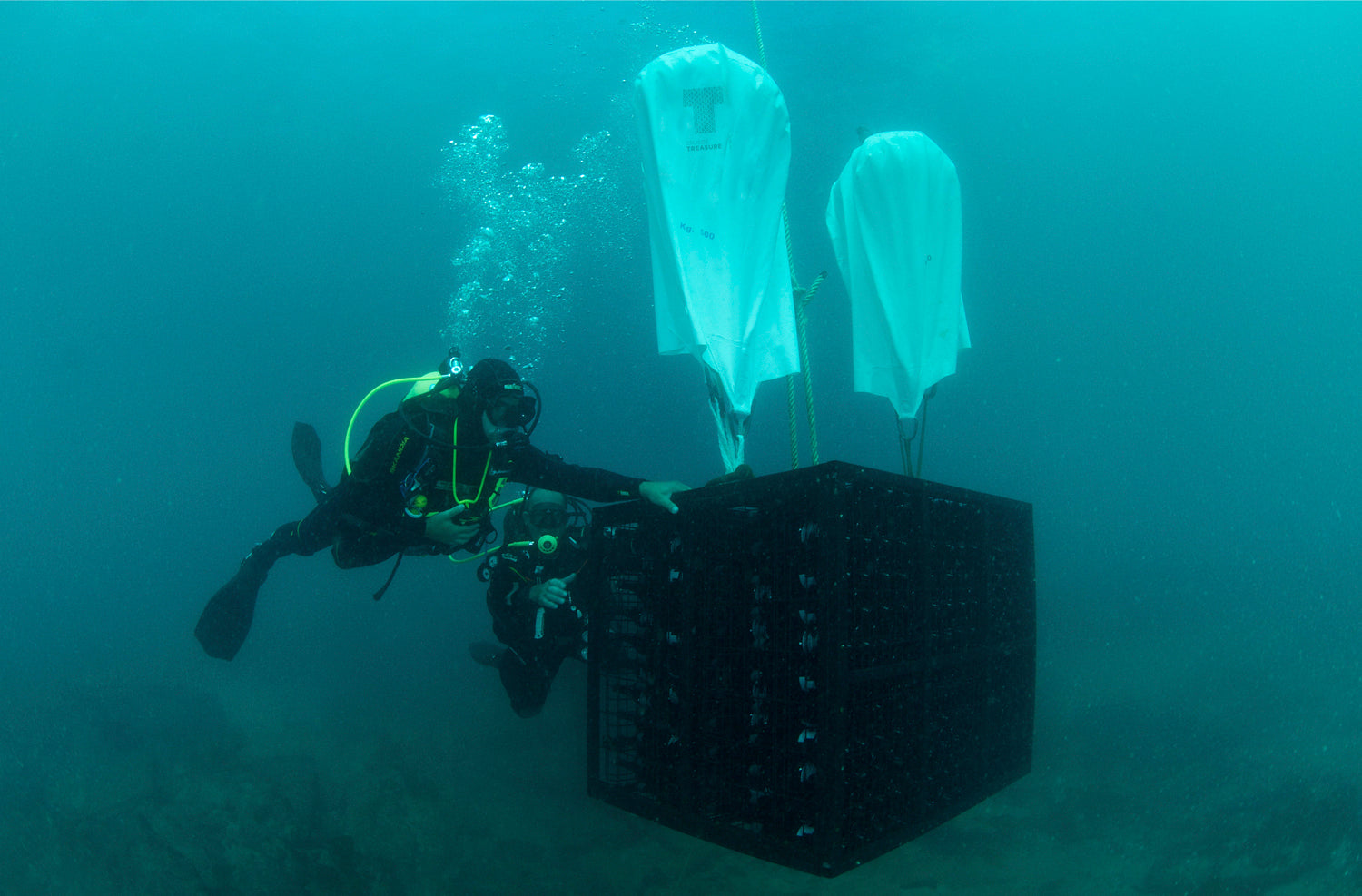 バスク海底熟成ワイン Sea Soul No.7 グルナッシュ・ブラン100％ 白