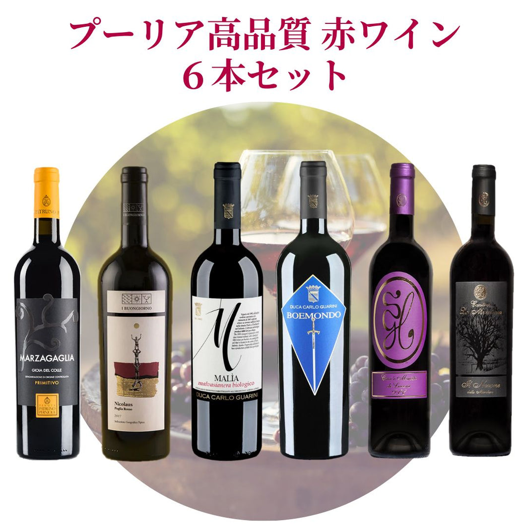 プーリア高品質赤ワイン６本セット